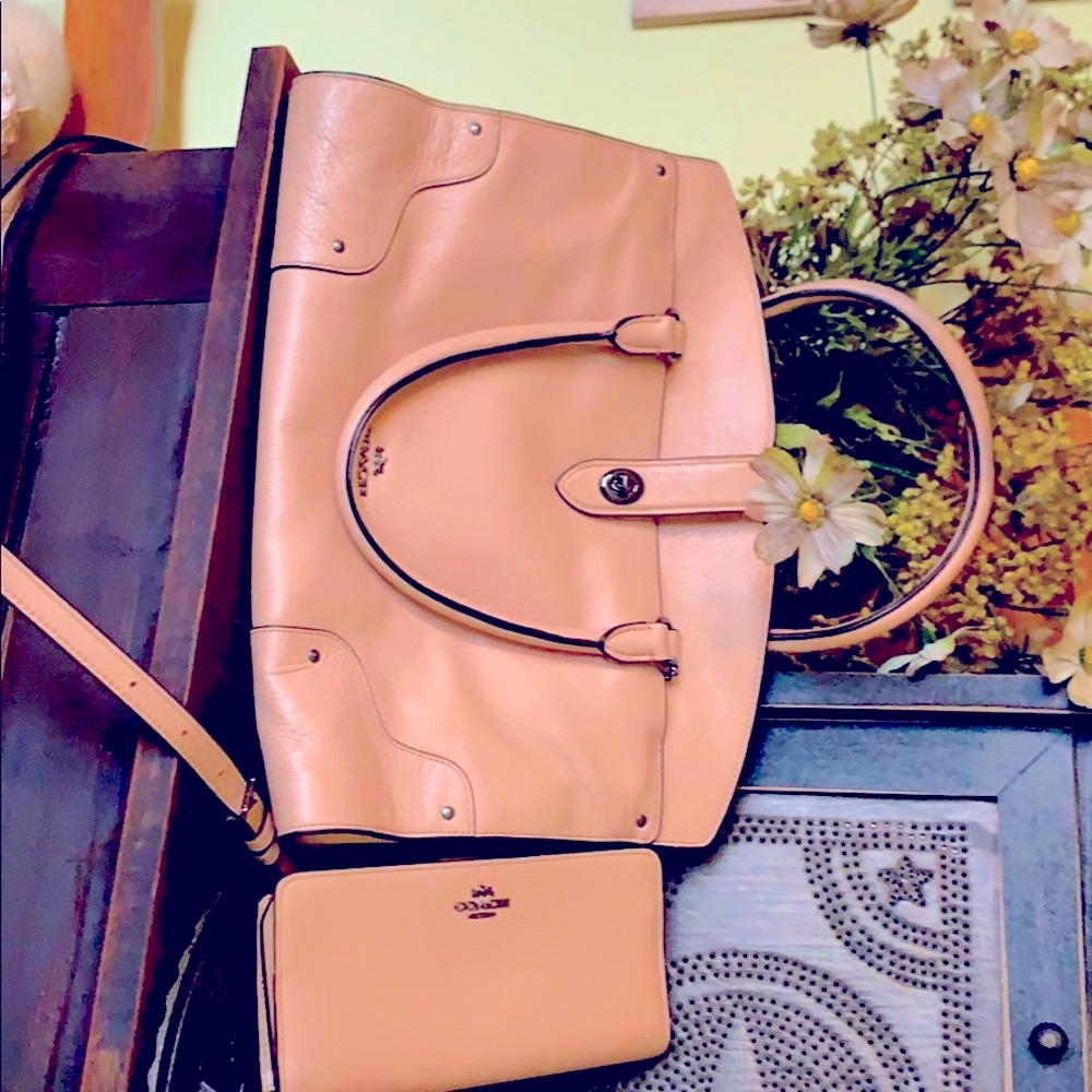 Authentic Coach leather Purse only. In good condition.